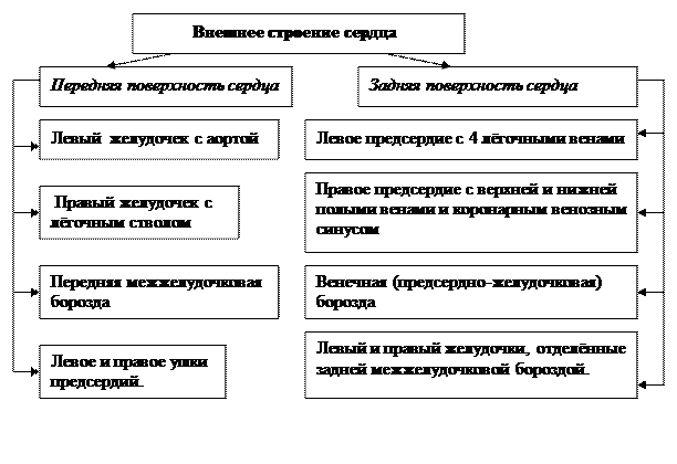 Практическое занятие №6-1 - student2.ru