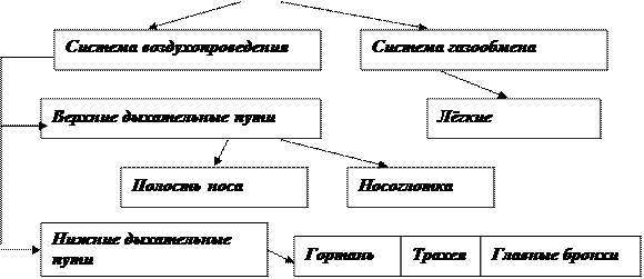 Практическое занятие №7. 1 - student2.ru