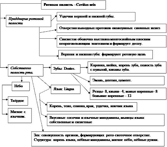 Практическое занятие №7. 3 - student2.ru