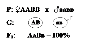 При скрещивании гомозиготных особей, отличающихся друг от друга парой альтернативных признаков, в первом поколении наблюдается единообразие, как по фенотипу, так и по генотипу. - student2.ru