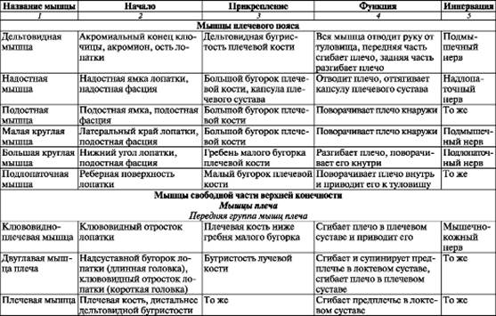 Принцип движения лимфы по лимфососудам. - student2.ru