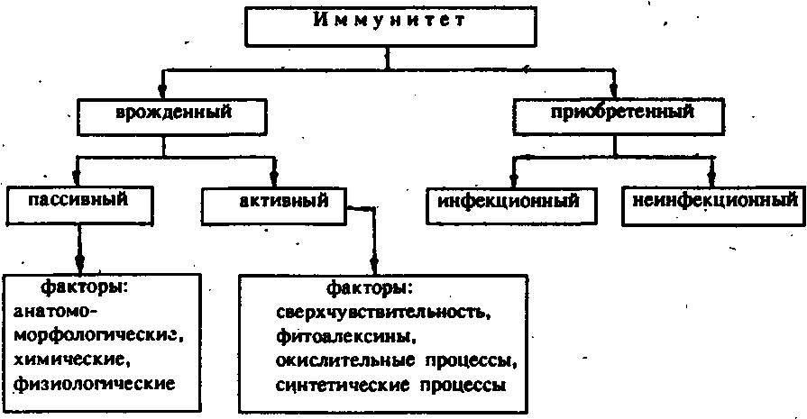 Природа и типы иммунитета у растений. - student2.ru