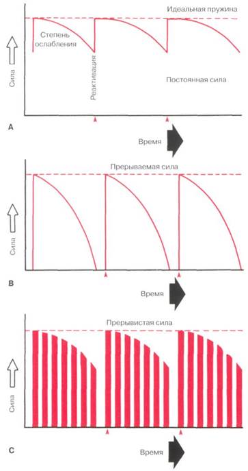 Продолжительность действия силы и ослабление силы - student2.ru