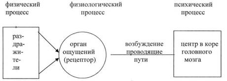 Психические процессы, их учет в профессиональной деятельности - student2.ru