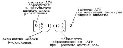 пути метаболизма глицерина - student2.ru