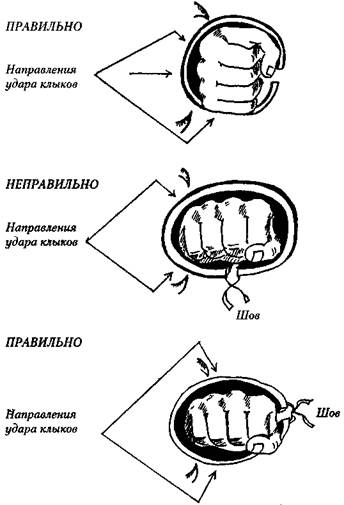 Работа инструктора-дрессировщика - student2.ru