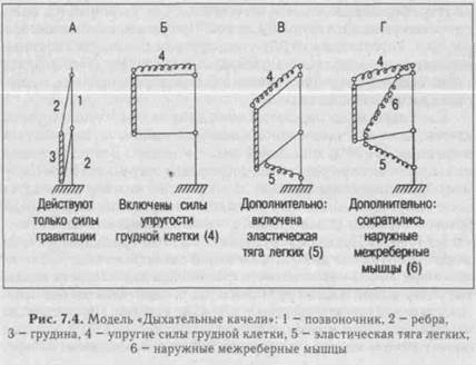 Расход энергии на обеспечение вентиляции легких - student2.ru