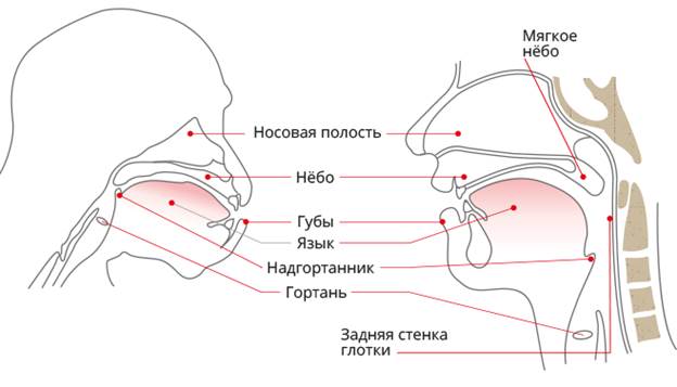 Расы — исторически сложившиеся группы людей, различающиеся некоторыми физическими (черты лица, цвет кожи, глаз, волос, форма волос и др.) и физиологическими признаками. - student2.ru