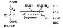 реакции синтеза жирных кислот - student2.ru