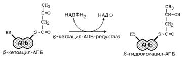 реакции синтеза жирных кислот - student2.ru