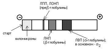 реакции синтеза жирных кислот - student2.ru