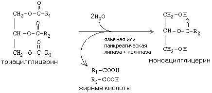 реакции синтеза жирных кислот - student2.ru