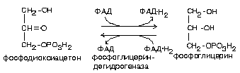 реакции синтеза жирных кислот - student2.ru