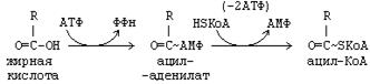 реакции синтеза жирных кислот - student2.ru