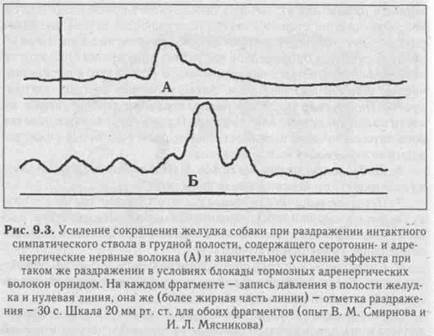 Регуляция желудочной секреции. Отделение желудочного сока начинается через несколько ми­нут после начала приема пищи, продолжается в течение несколь­ких часов после прекращения акта еды и - student2.ru