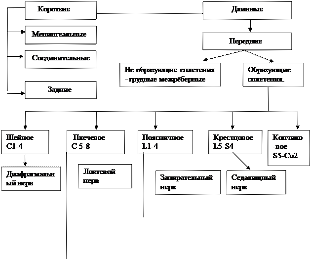 Решите предлагаемые тесты - student2.ru