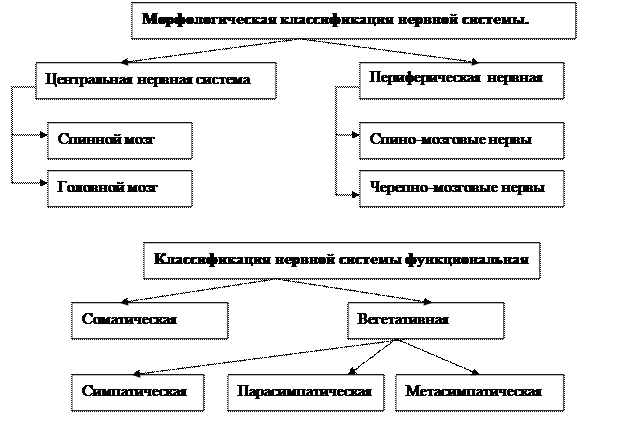 Решите тесты рубежного самоконтроля знаний - student2.ru