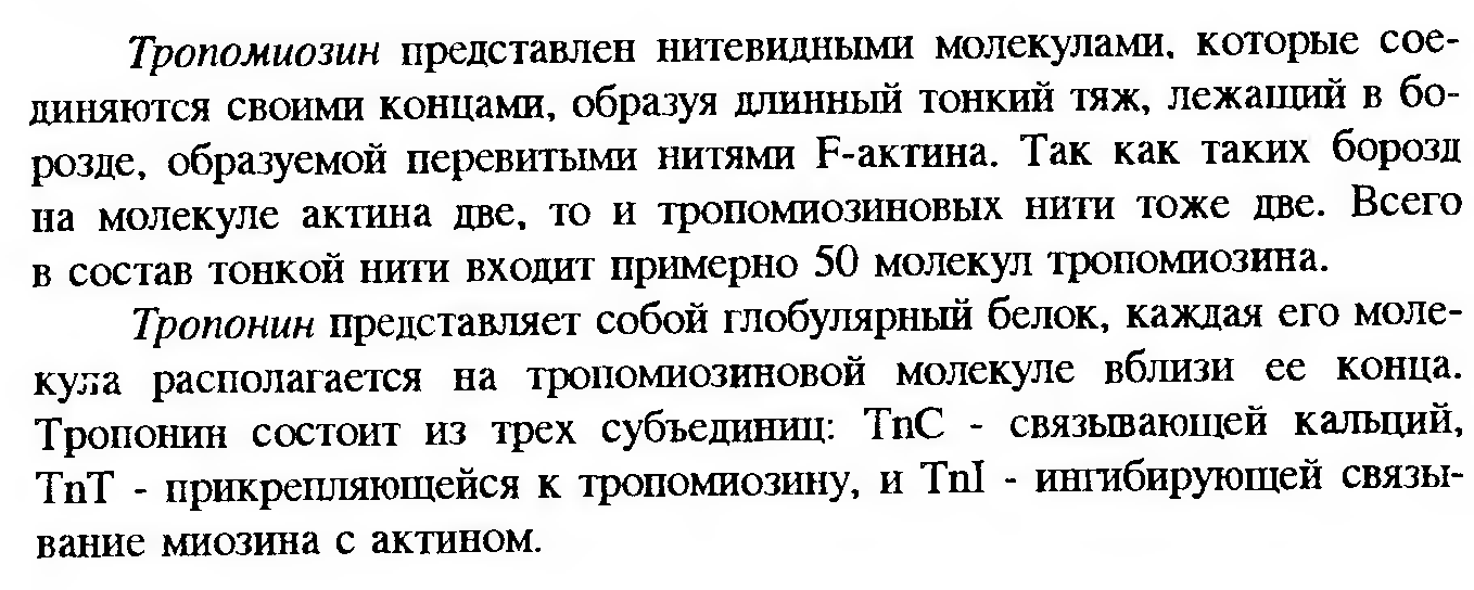 Сдвиг лейкоцитарной формулы влево — это увеличение процента юных и палочкоядерных нейтрофилов. - student2.ru