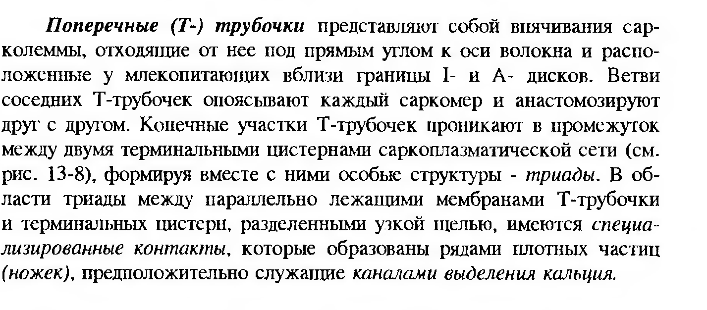 Сдвиг лейкоцитарной формулы влево — это увеличение процента юных и палочкоядерных нейтрофилов. - student2.ru