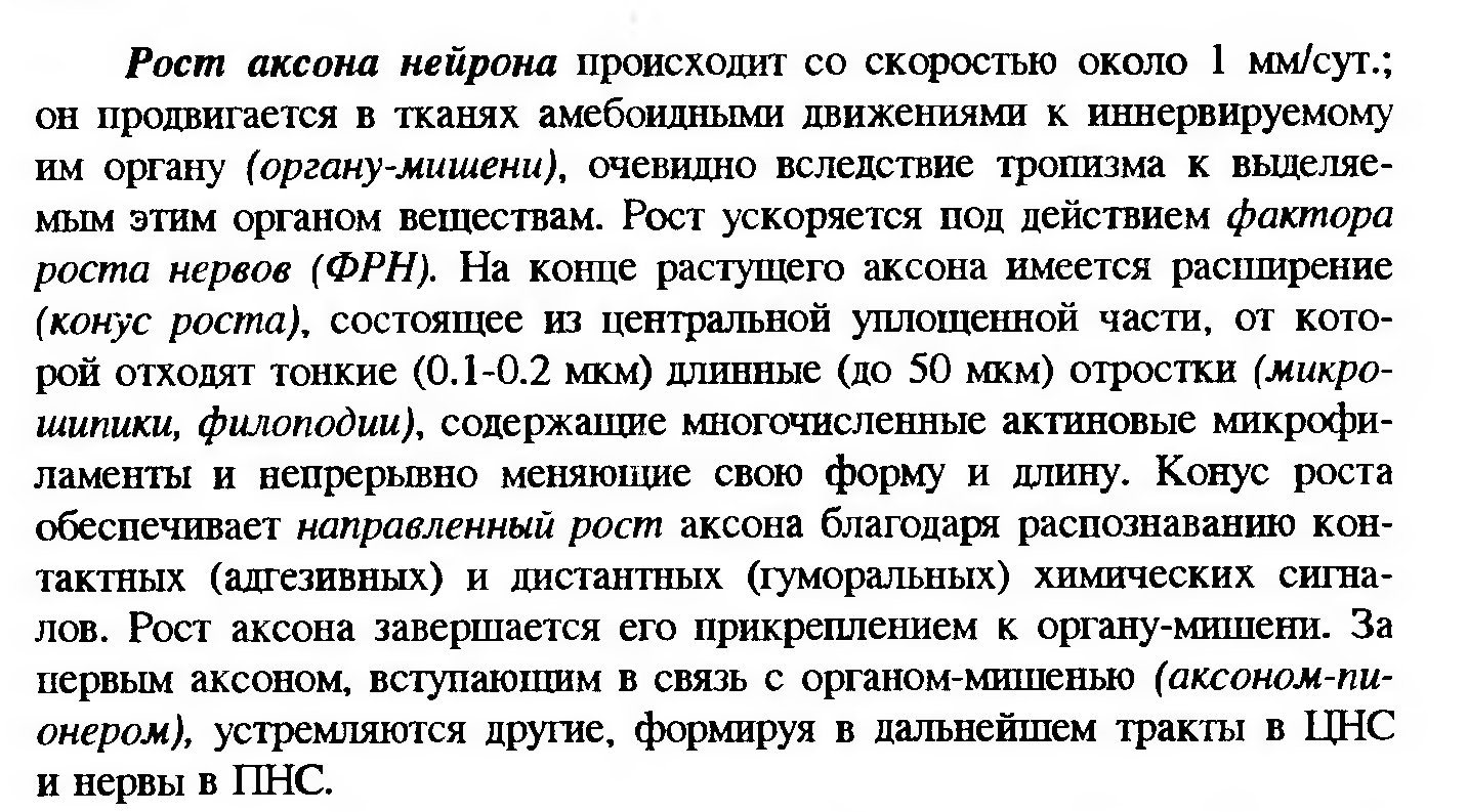 Сдвиг лейкоцитарной формулы влево — это увеличение процента юных и палочкоядерных нейтрофилов. - student2.ru