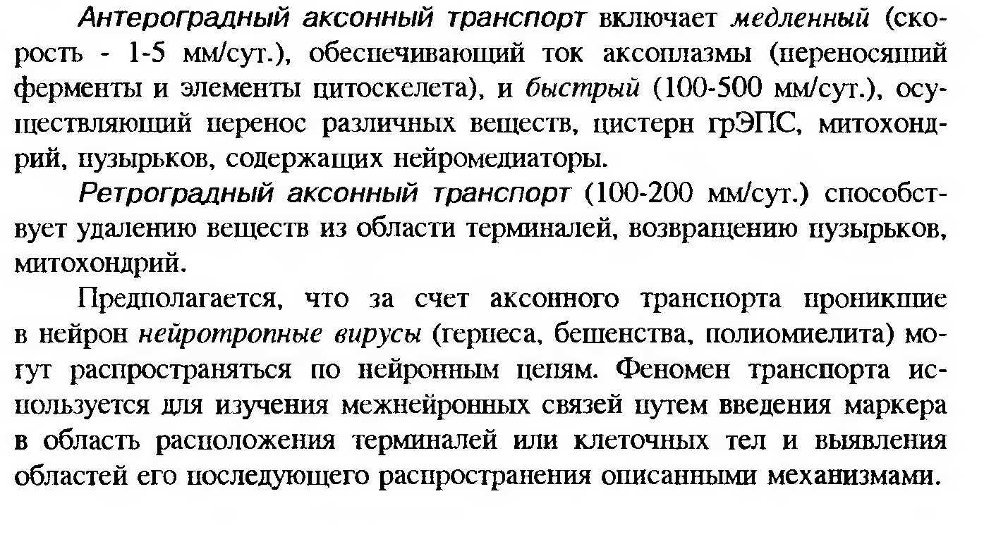 Сдвиг лейкоцитарной формулы влево — это увеличение процента юных и палочкоядерных нейтрофилов. - student2.ru