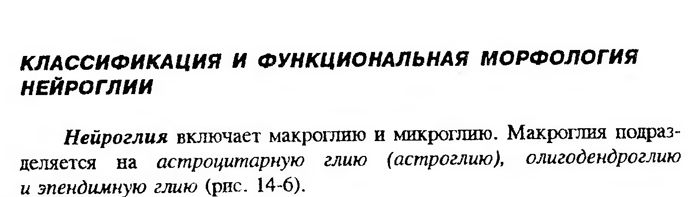 Сдвиг лейкоцитарной формулы влево — это увеличение процента юных и палочкоядерных нейтрофилов. - student2.ru