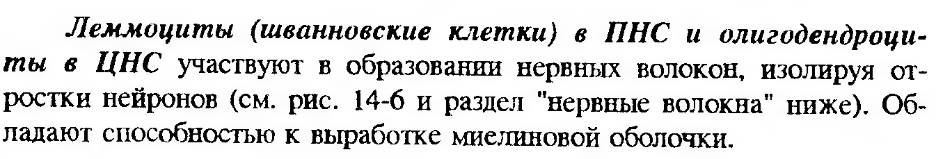 Сдвиг лейкоцитарной формулы влево — это увеличение процента юных и палочкоядерных нейтрофилов. - student2.ru