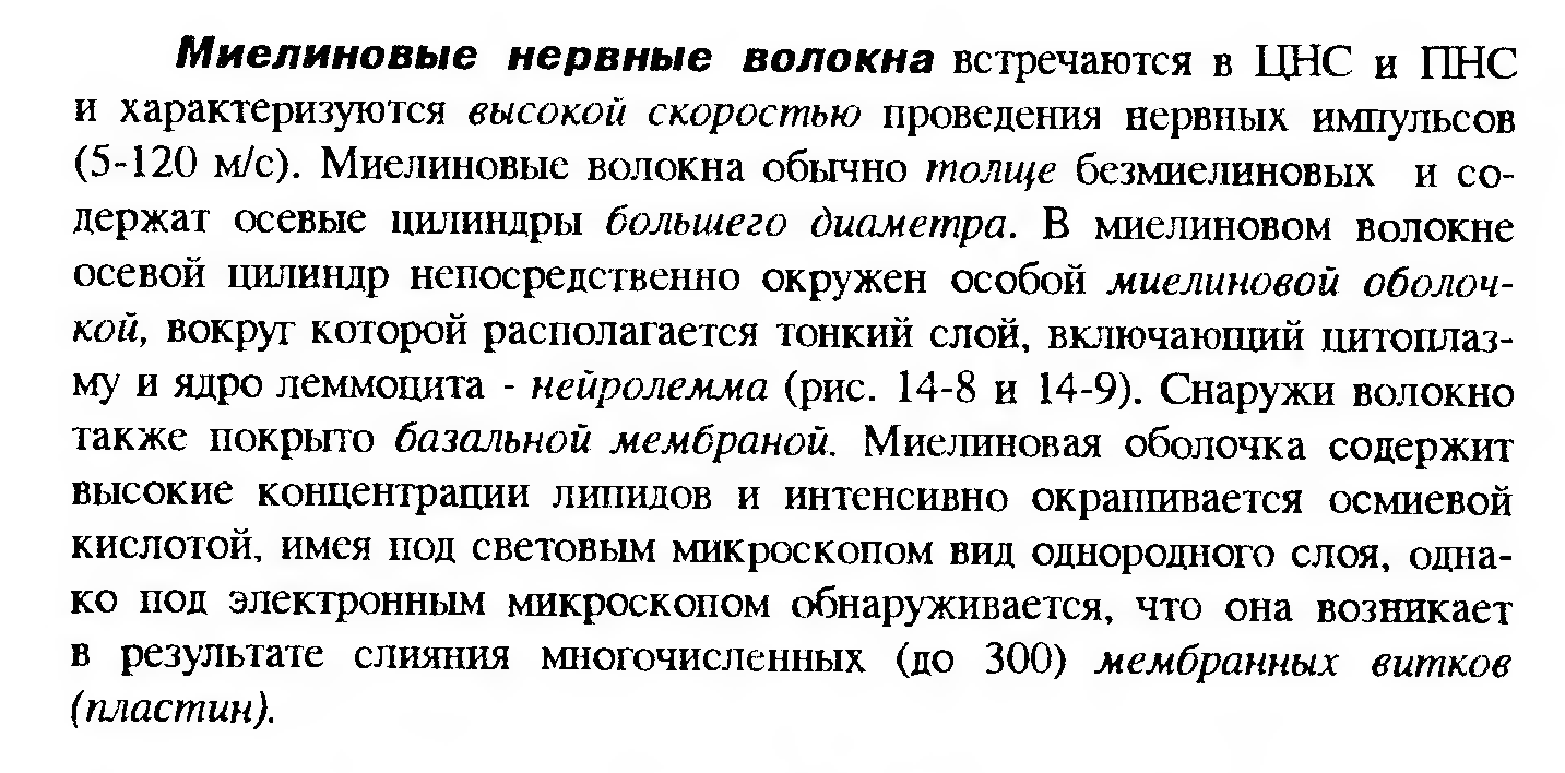 Сдвиг лейкоцитарной формулы влево — это увеличение процента юных и палочкоядерных нейтрофилов. - student2.ru