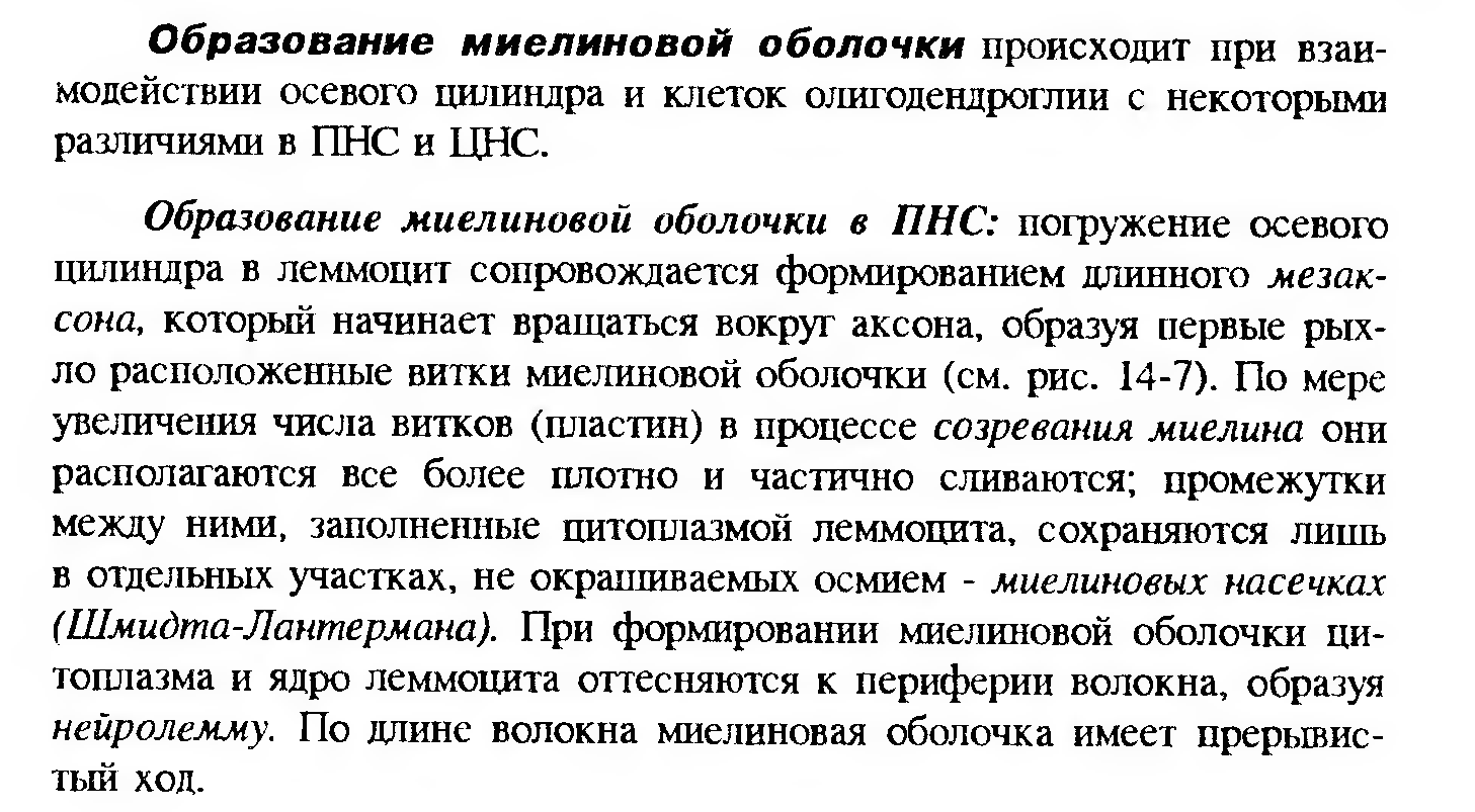 Сдвиг лейкоцитарной формулы влево — это увеличение процента юных и палочкоядерных нейтрофилов. - student2.ru