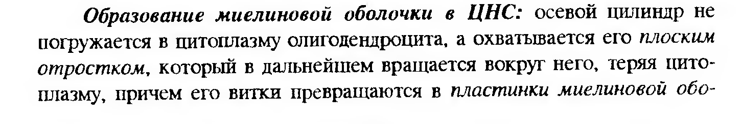 Сдвиг лейкоцитарной формулы влево — это увеличение процента юных и палочкоядерных нейтрофилов. - student2.ru