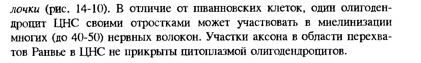 Сдвиг лейкоцитарной формулы влево — это увеличение процента юных и палочкоядерных нейтрофилов. - student2.ru