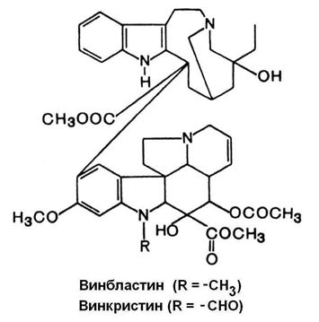 Сем. кутровые - Apocynaceae - student2.ru