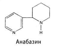 Сем. маревые - Chenopodiaceae - student2.ru