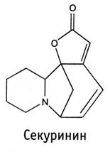 Сем. молочайные - Euphorbiaceae - student2.ru