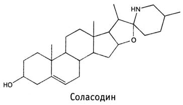 Сем. пасленовые - Solanaceae. Ботаническая характеристика - student2.ru