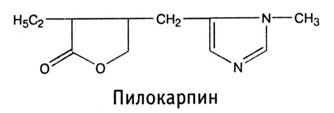 Сем. рутовые - Rutaceae - student2.ru