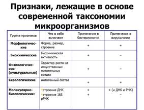 систематика микроорганизмов - student2.ru