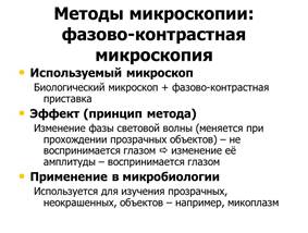 систематика микроорганизмов - student2.ru