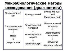 систематика микроорганизмов - student2.ru