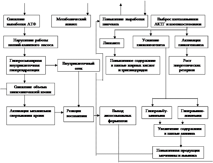 Схема основных механизмов нарушения метаболизма клеток - student2.ru
