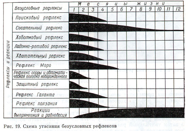 Схема психомоторного развития детей раннего возраста - student2.ru