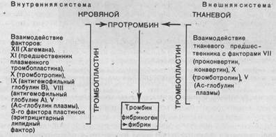 Схема VIII. Взаимоотношения внутренней и внешней систем - student2.ru