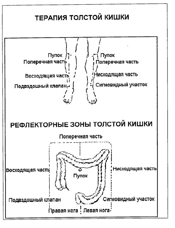 схемы лечения различных заболеваний - student2.ru