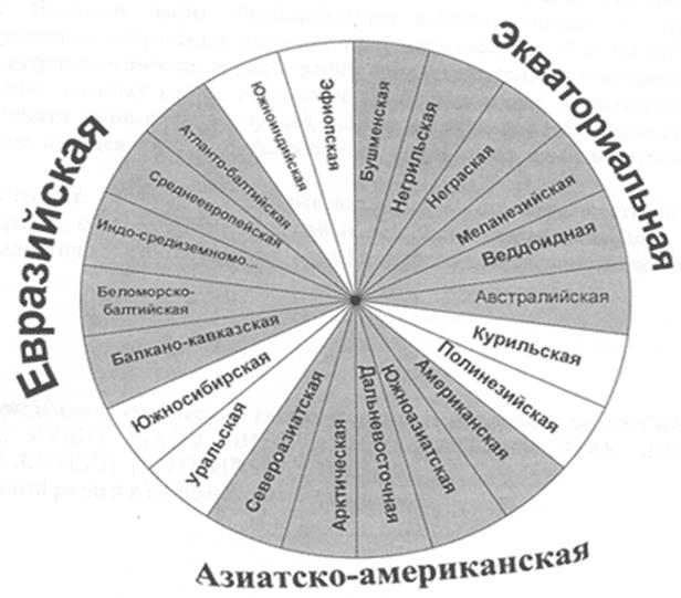 Схемы, выделяющие большое количество основных типов. - student2.ru