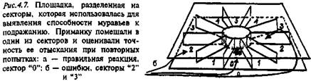 Сложные формы обучения общественных насекомых - student2.ru