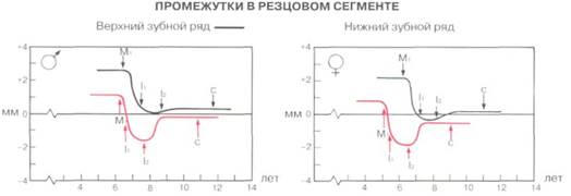 Смена молочных резцов на постоянные - student2.ru