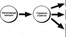Сравнительный анализ реакций организма на кратковременное и долговременное действие стресс-факторов - student2.ru