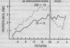Средний и поздний этапы исследований Халла - student2.ru