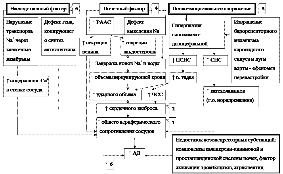 Стадия изменений органов в связи изменением артерий и нарушением органного кровотока. - student2.ru