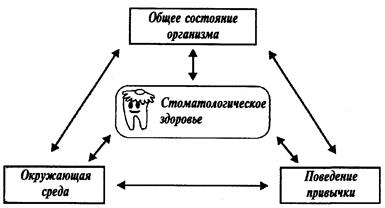 стоматологический эстетический индекс - student2.ru